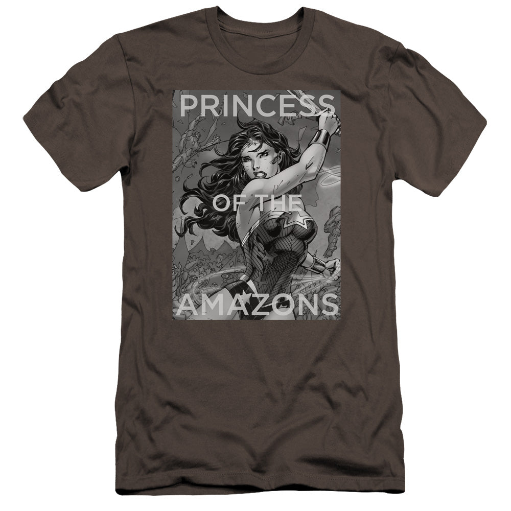 JLA/PRINCESS OF THE AMAZONS