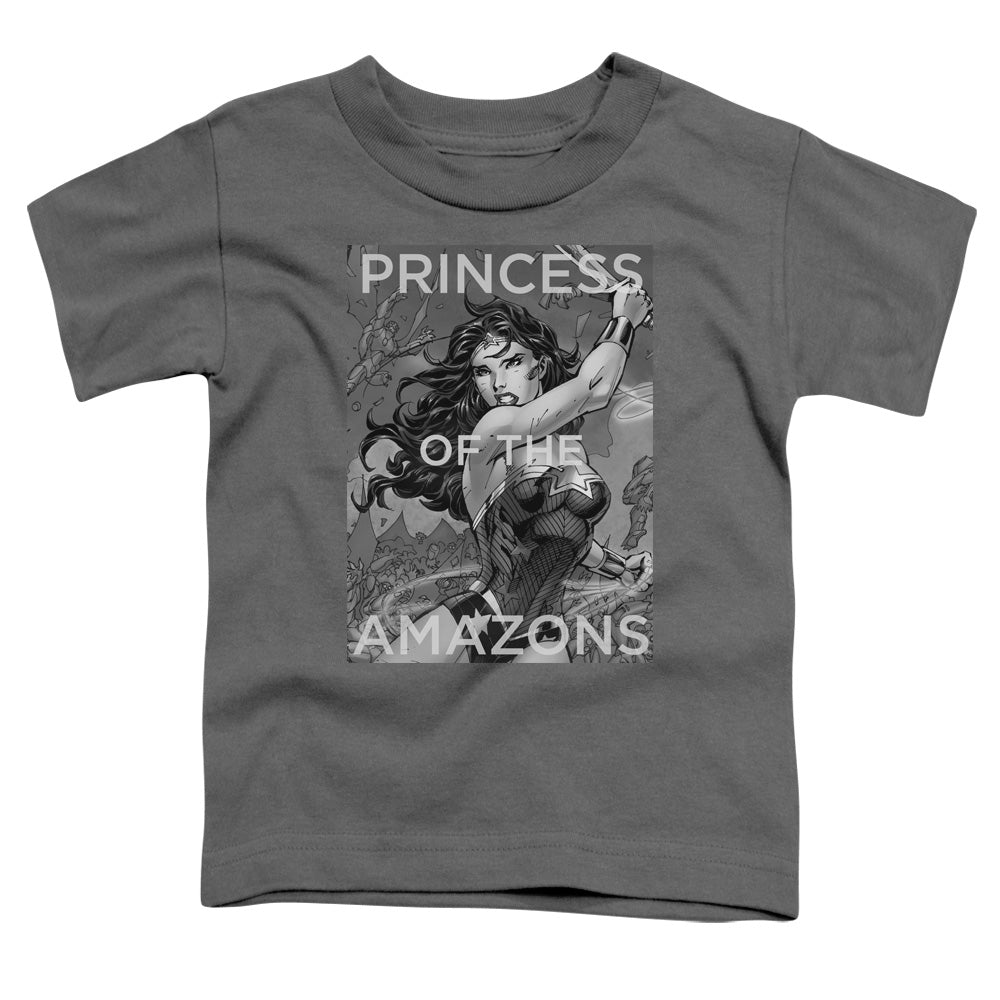 JLA/PRINCESS OF THE AMAZONS