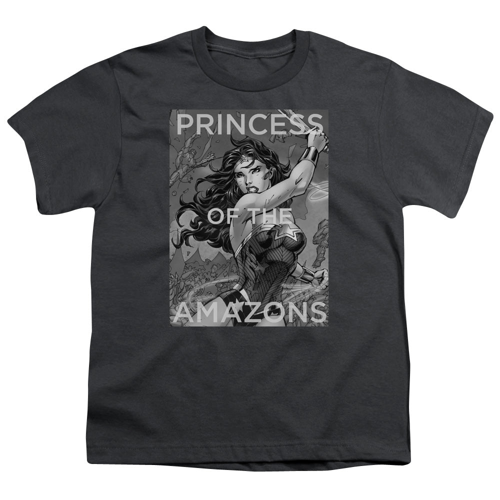 JLA/PRINCESS OF THE AMAZONS