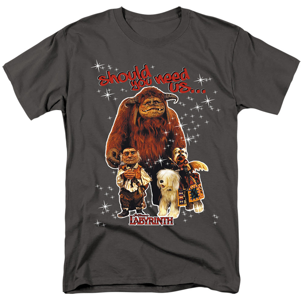 LABYRINTH/SHOULD YOU NEED US