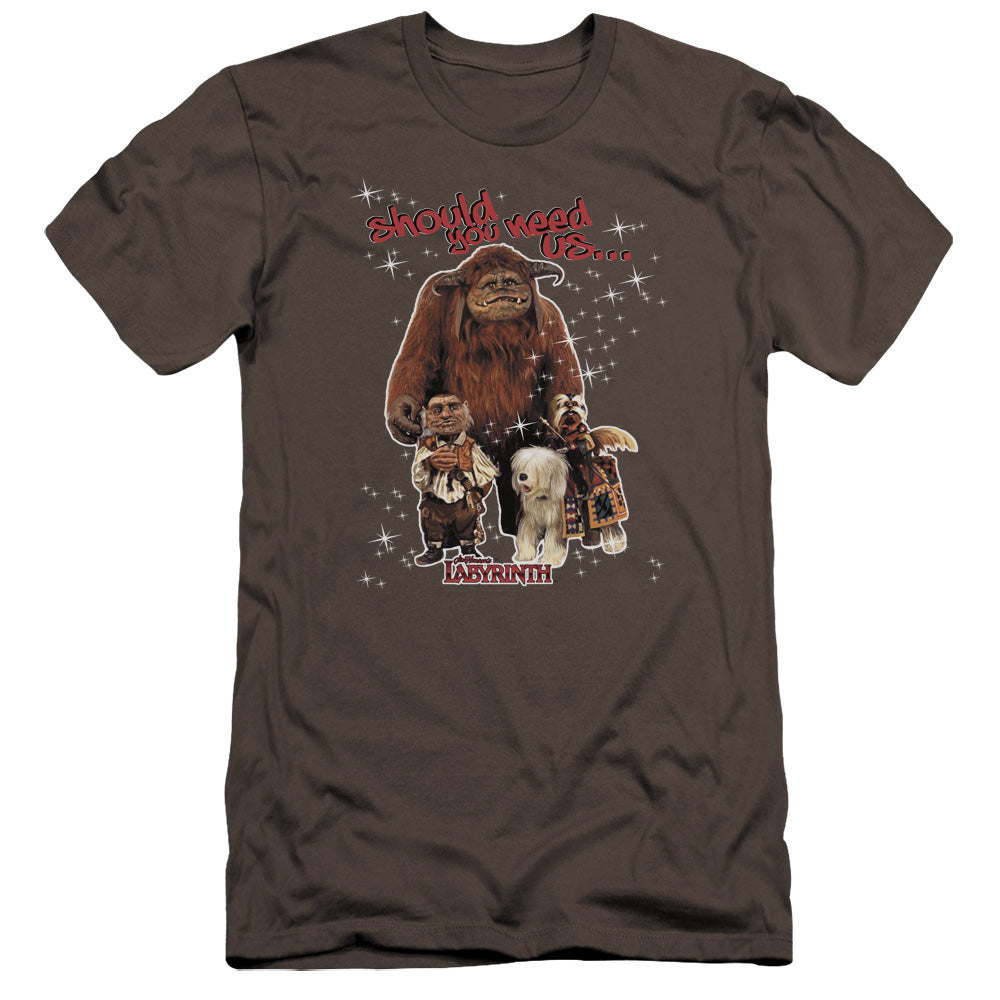LABYRINTH/SHOULD YOU NEED US