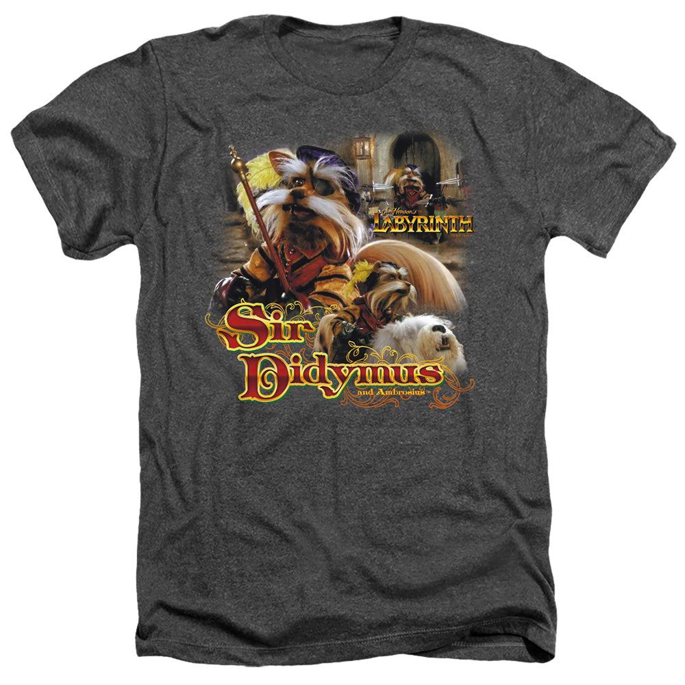 LABYRINTH/SIR DIDYMUS