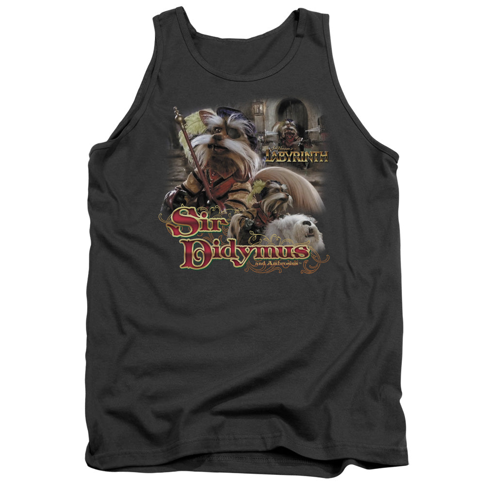 LABYRINTH/SIR DIDYMUS