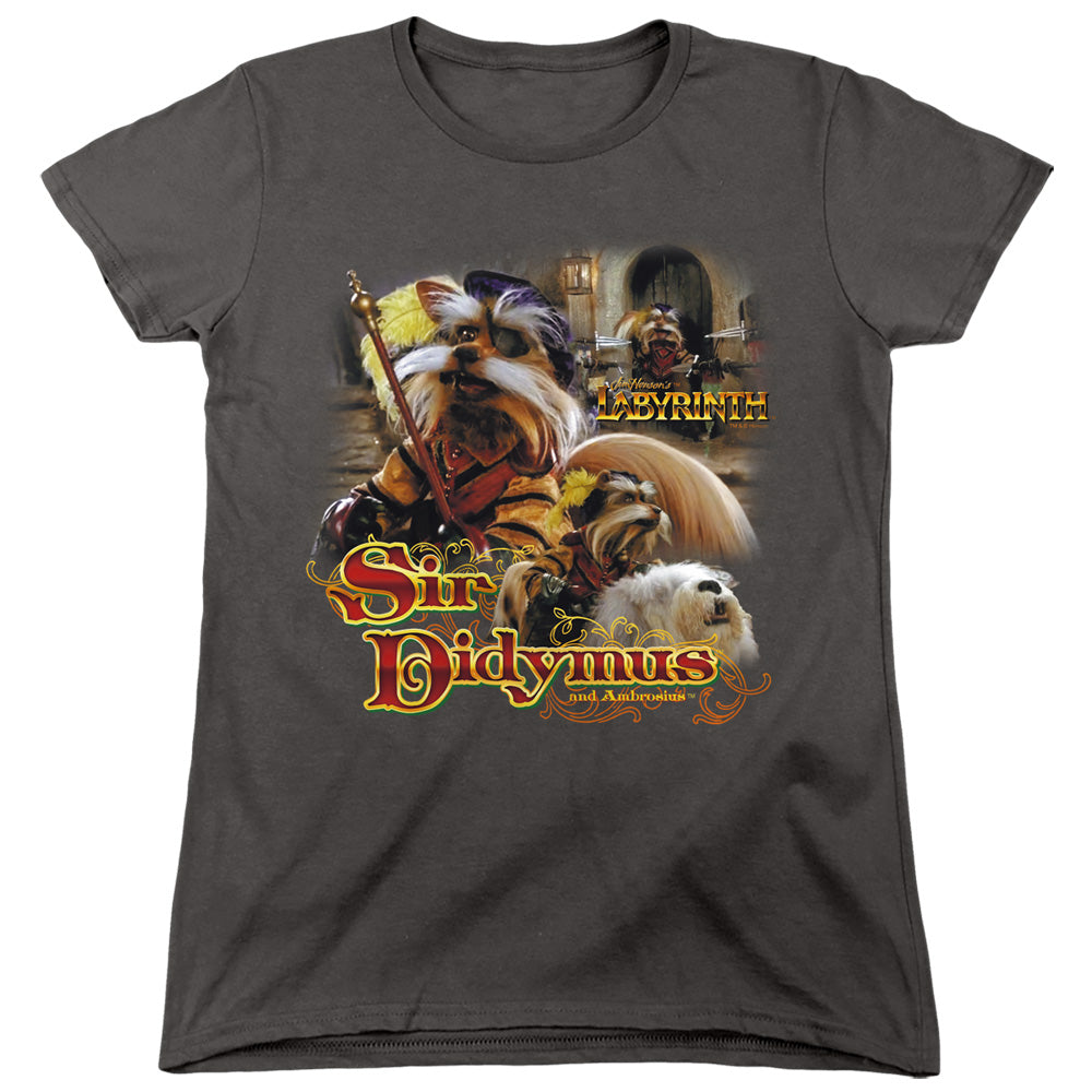 LABYRINTH/SIR DIDYMUS