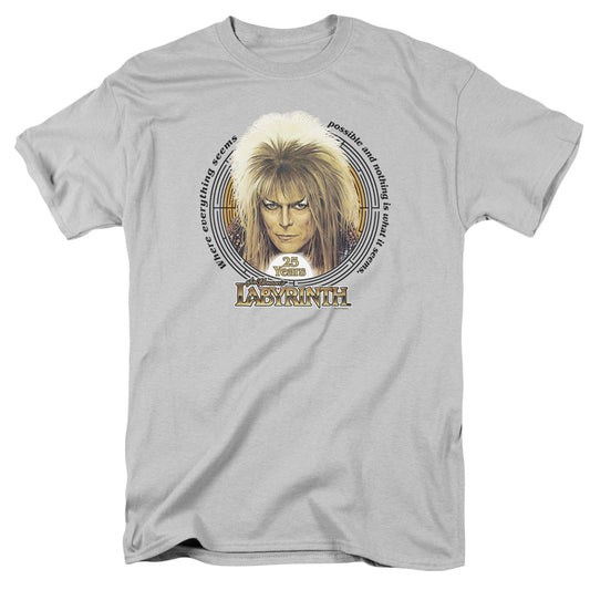 LABYRINTH/25 YEARS