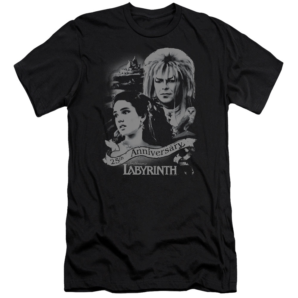 LABYRINTH/ANNIVERSARY