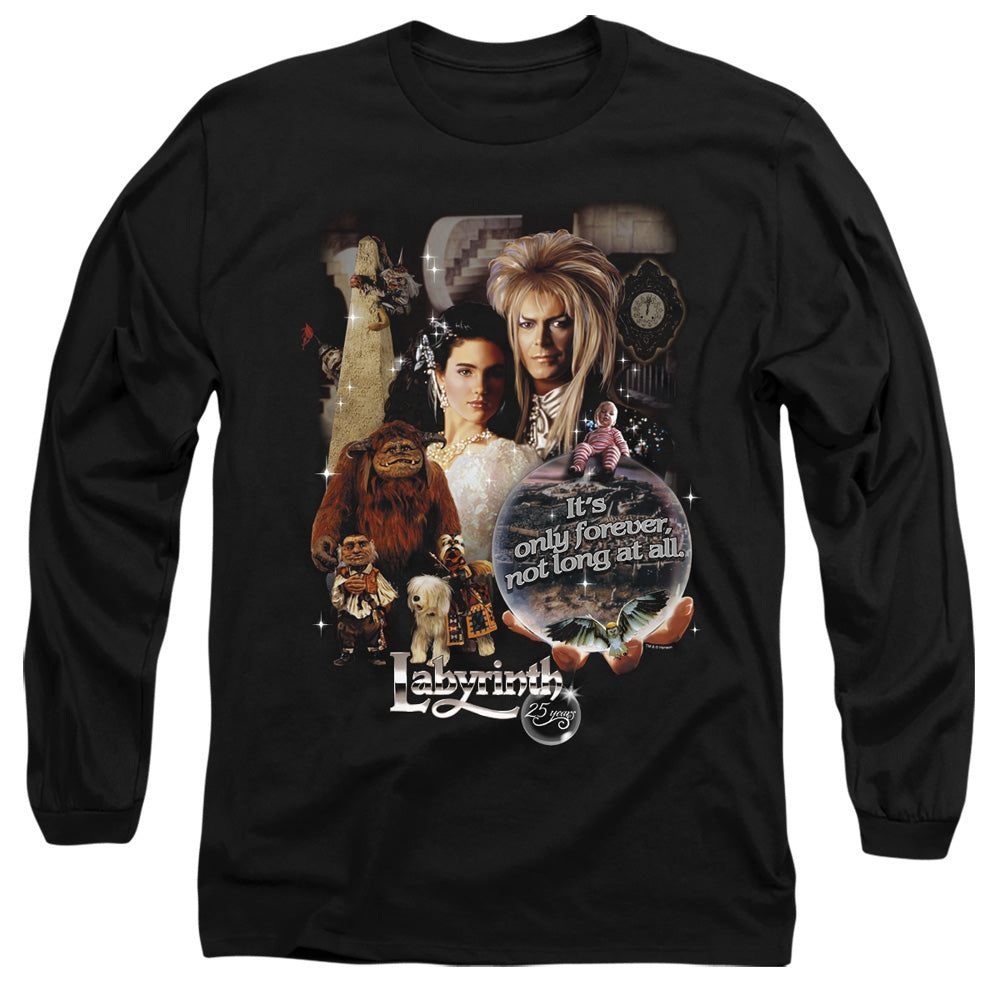 LABYRINTH/25 YEARS OF MAGIC