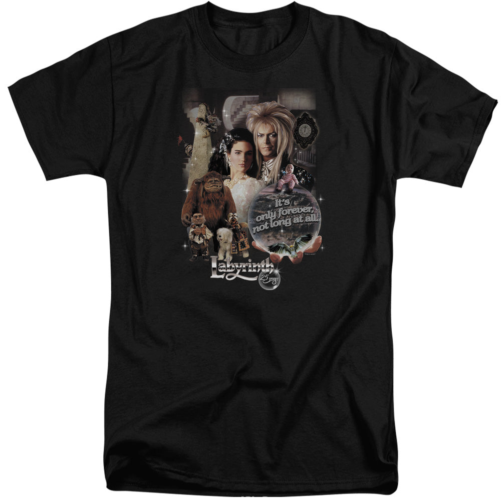 LABYRINTH/25 YEARS OF MAGIC