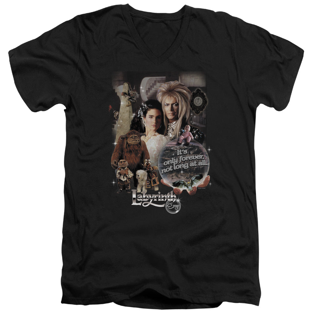 LABYRINTH/25 YEARS OF MAGIC