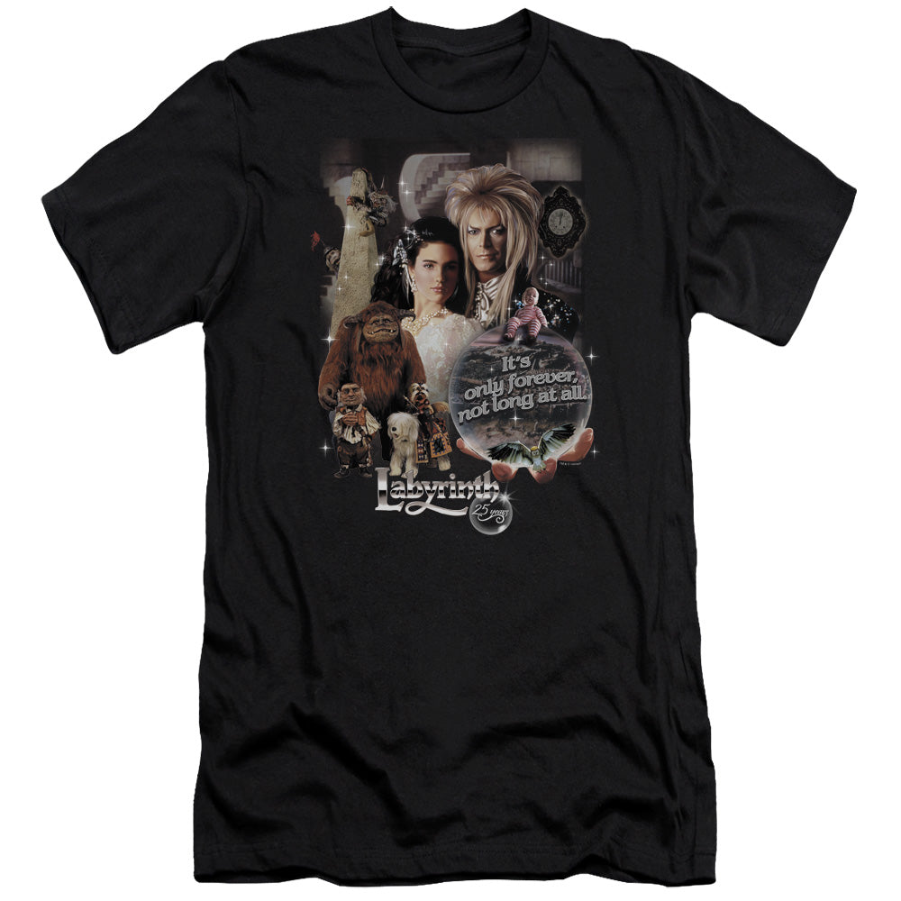 LABYRINTH/25 YEARS OF MAGIC