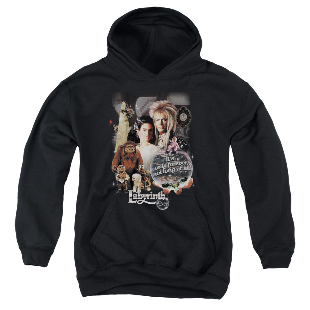 LABYRINTH/25 YEARS OF MAGIC