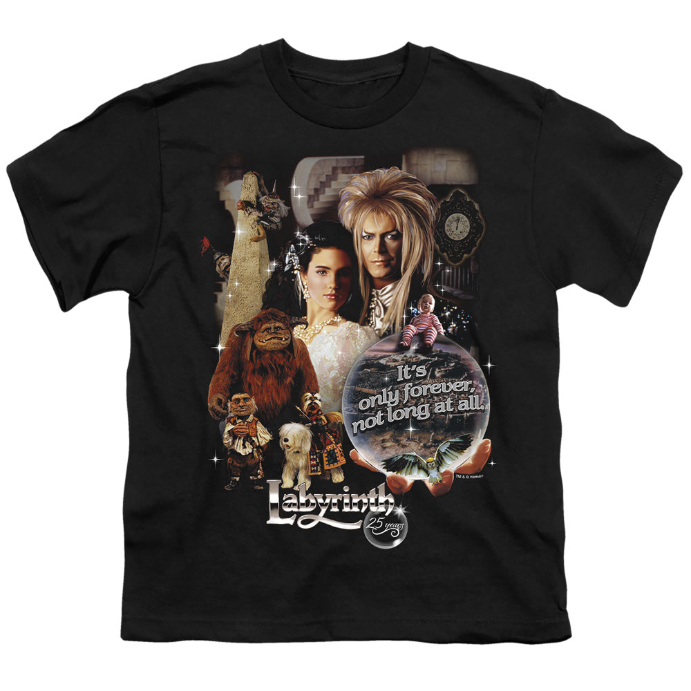 LABYRINTH/25 YEARS OF MAGIC