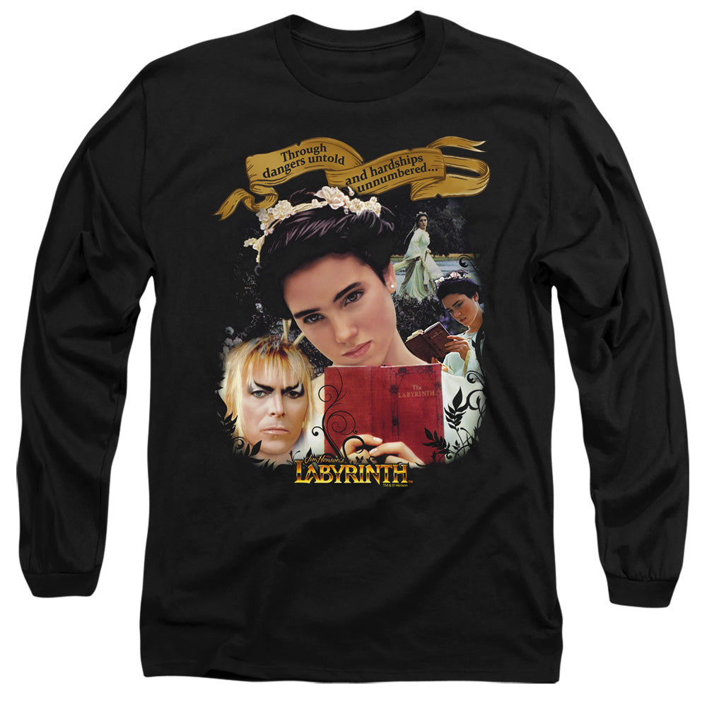 LABYRINTH/DANGERS UNTOLD