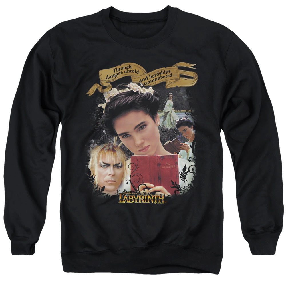 LABYRINTH/DANGERS UNTOLD