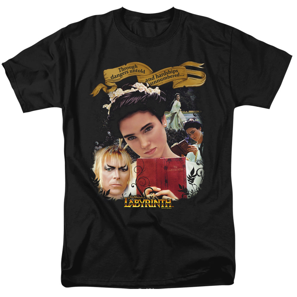 LABYRINTH/DANGERS UNTOLD