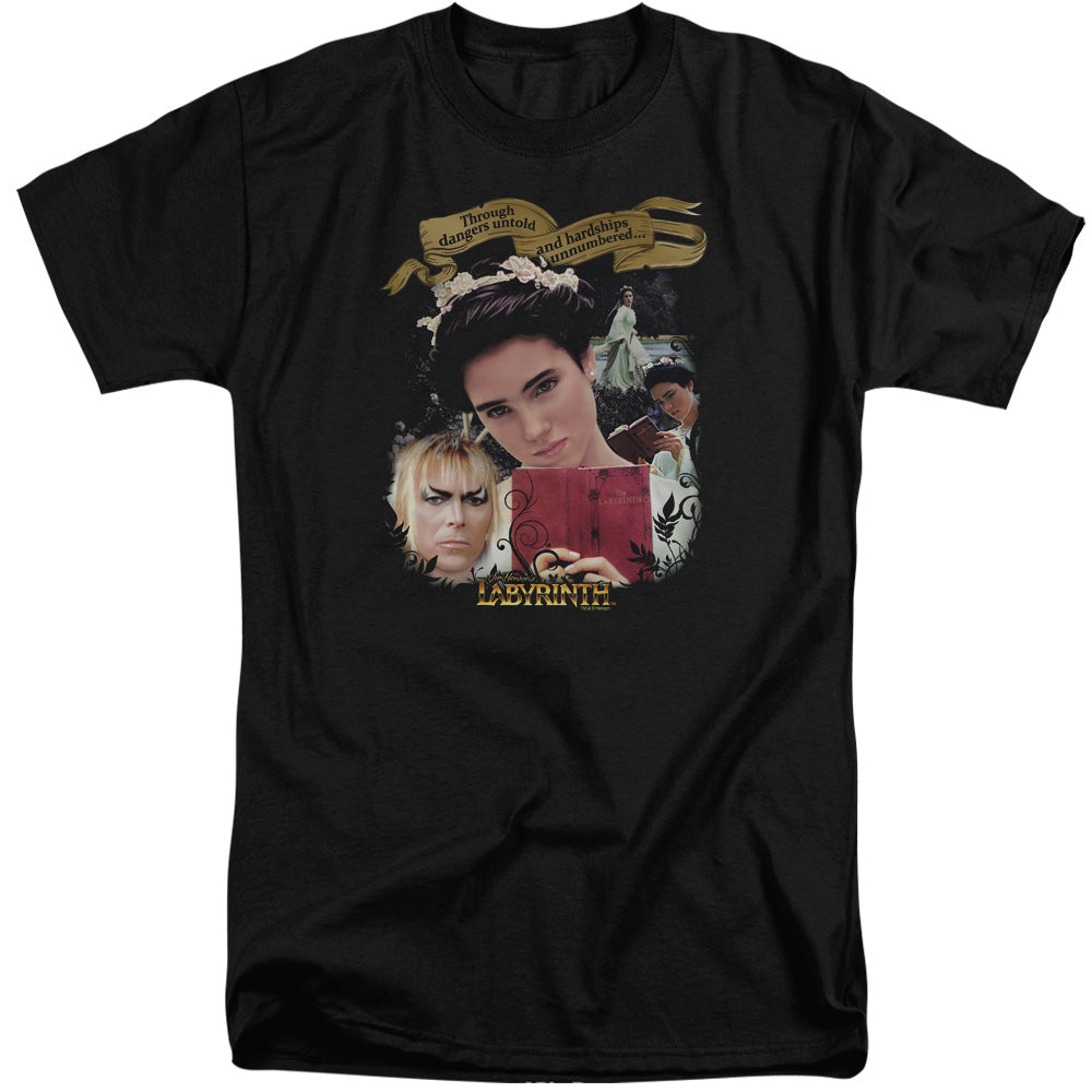 LABYRINTH/DANGERS UNTOLD