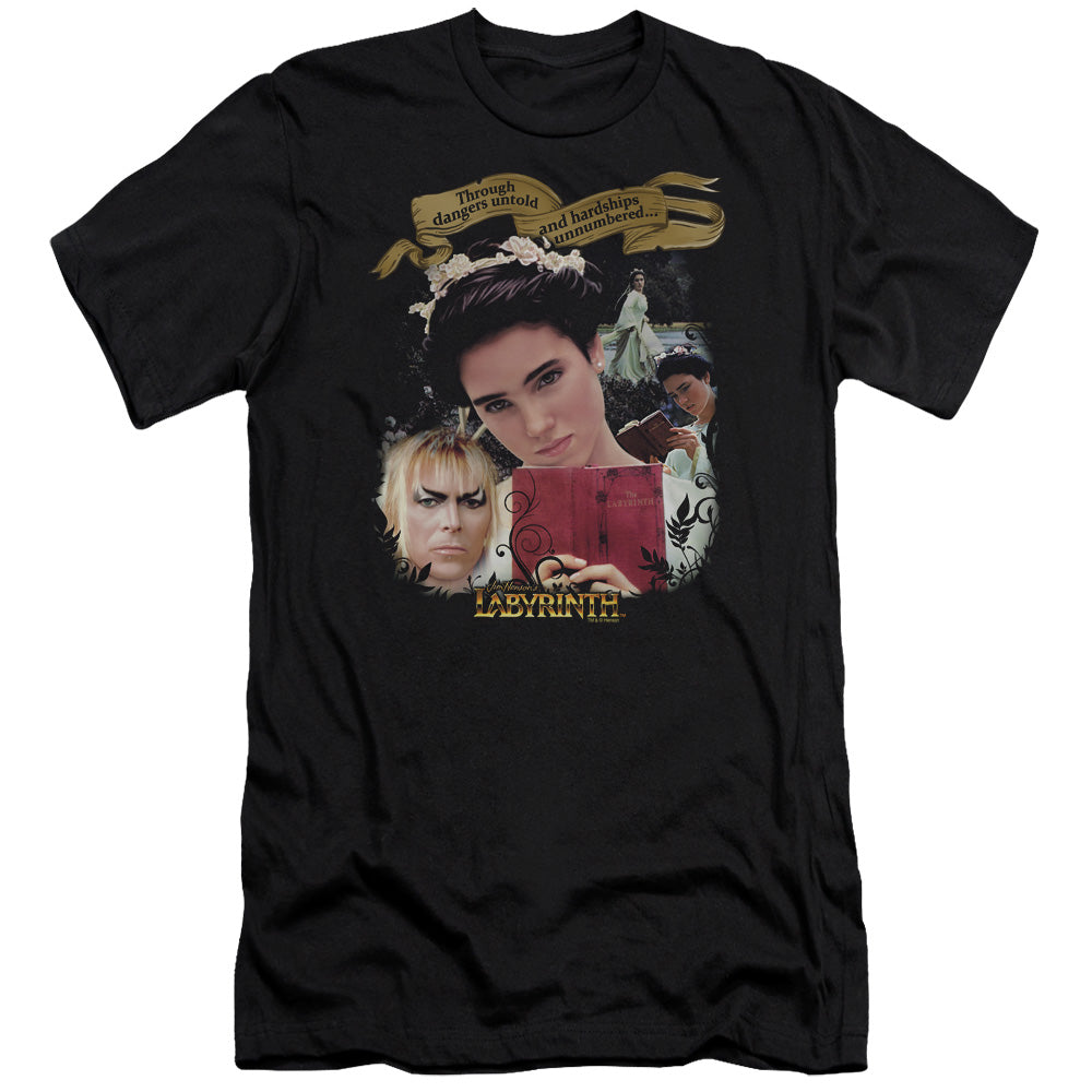 LABYRINTH/DANGERS UNTOLD