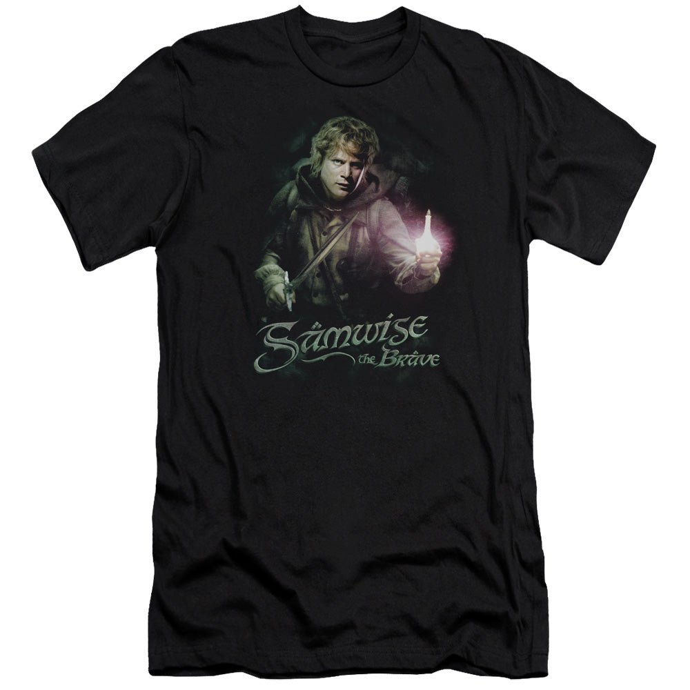 LOR/SAMWISE THE BRAVE