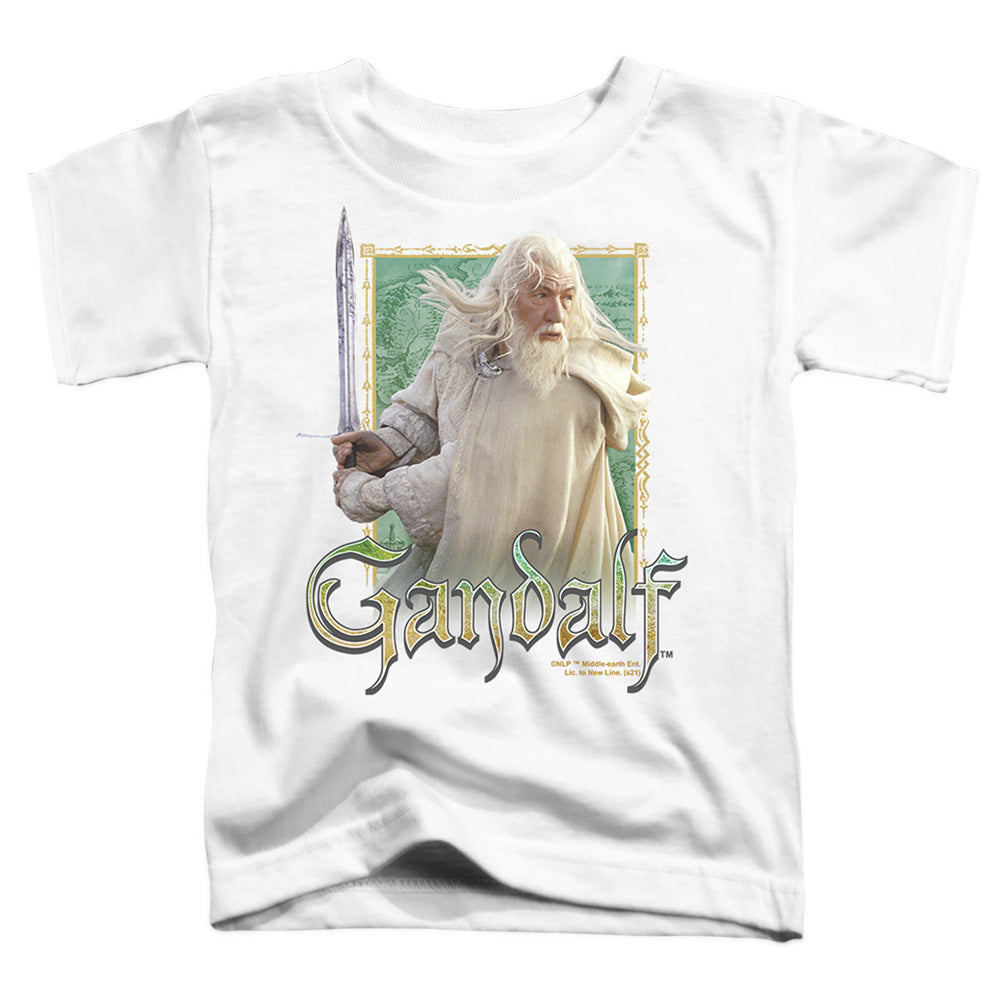 LORD OF THE RINGS/GANDALF