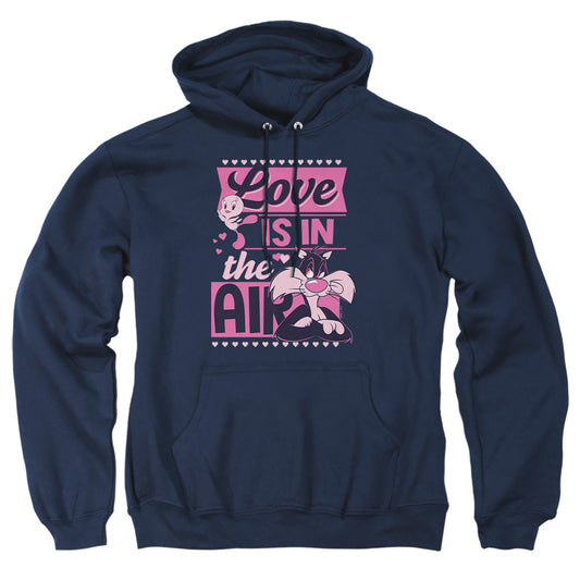 LOONEY TUNES/VALENTINE'S DAY TWEETY SYLVESTER LOVE IN THE AIR