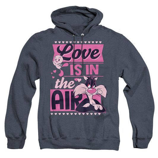 LOONEY TUNES/VALENTINE'S DAY TWEETY SYLVESTER LOVE IN THE AIR