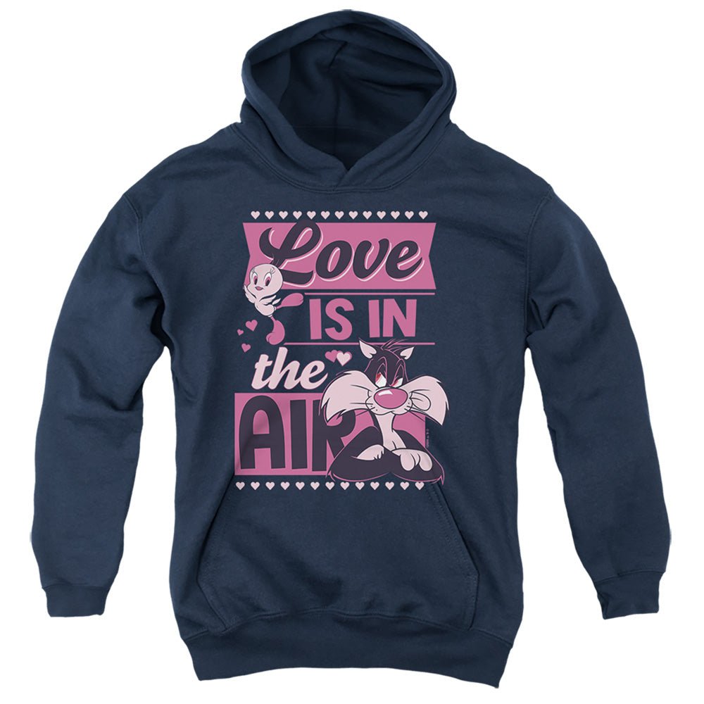 LOONEY TUNES/VALENTINE'S DAY TWEETY SYLVESTER LOVE IN THE AIR