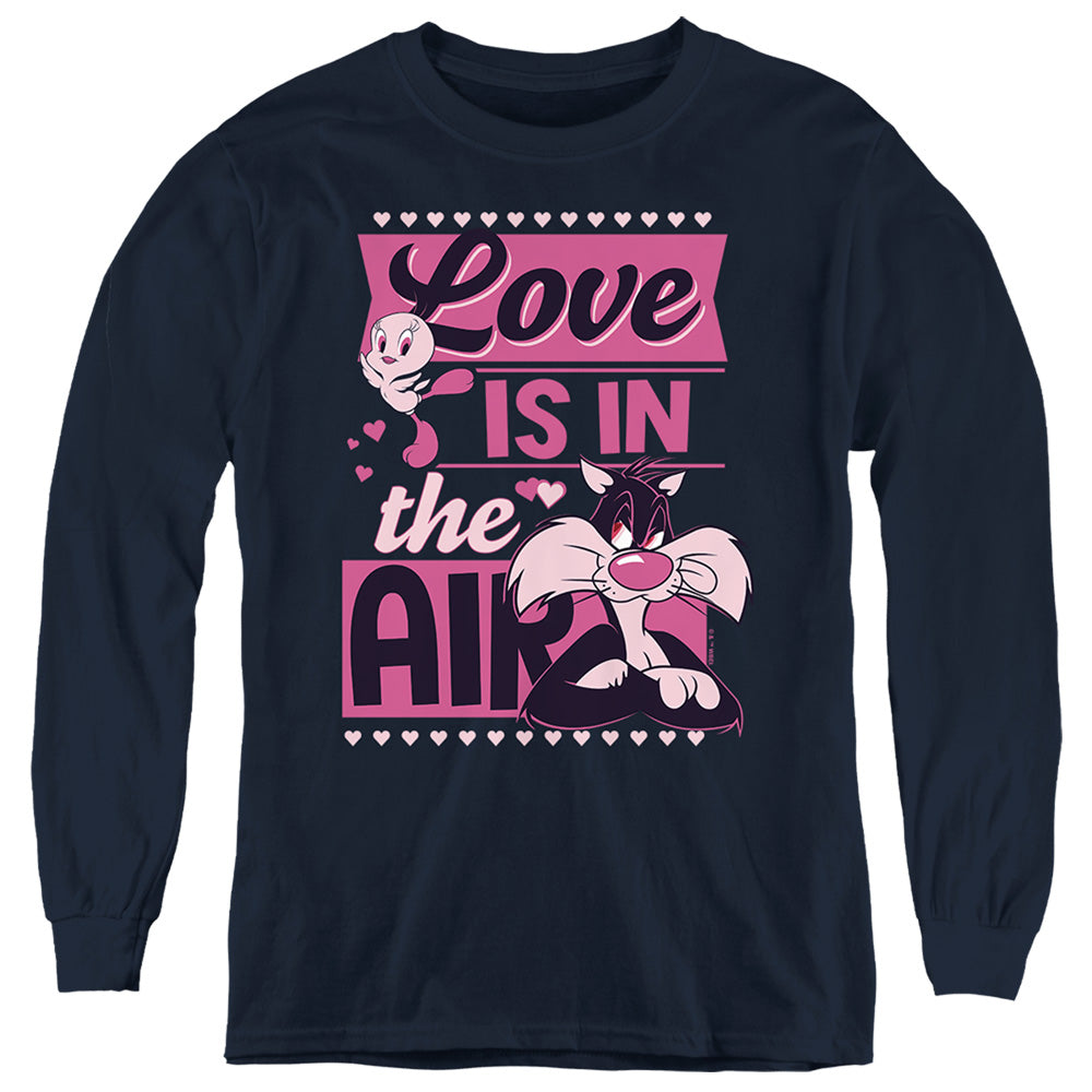 LOONEY TUNES/VALENTINE'S DAY TWEETY SYLVESTER LOVE IN THE AIR