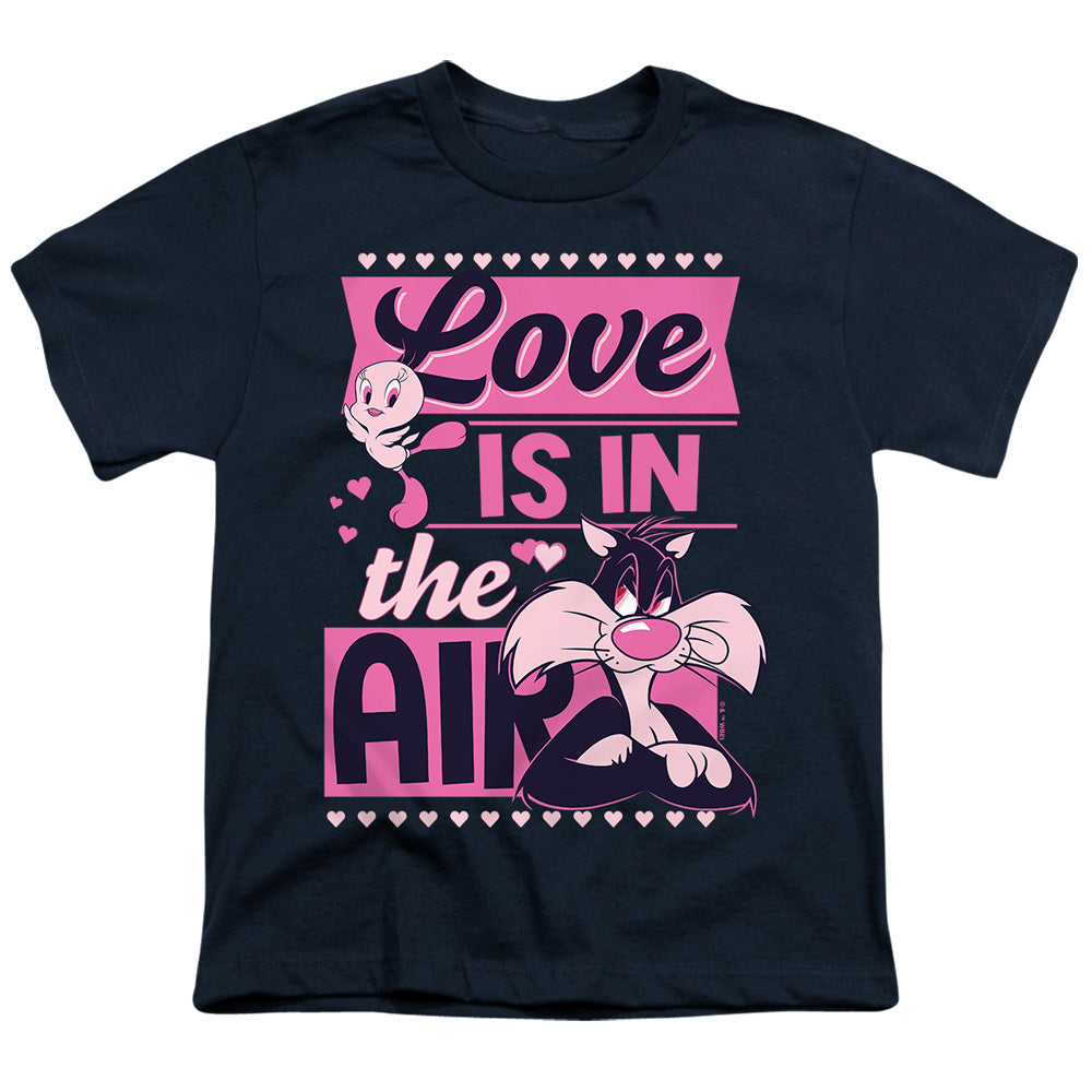 LOONEY TUNES/VALENTINE'S DAY TWEETY SYLVESTER LOVE IN THE AIR
