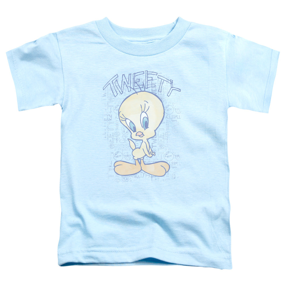 LOONEY TUNES/TWEETY FADE