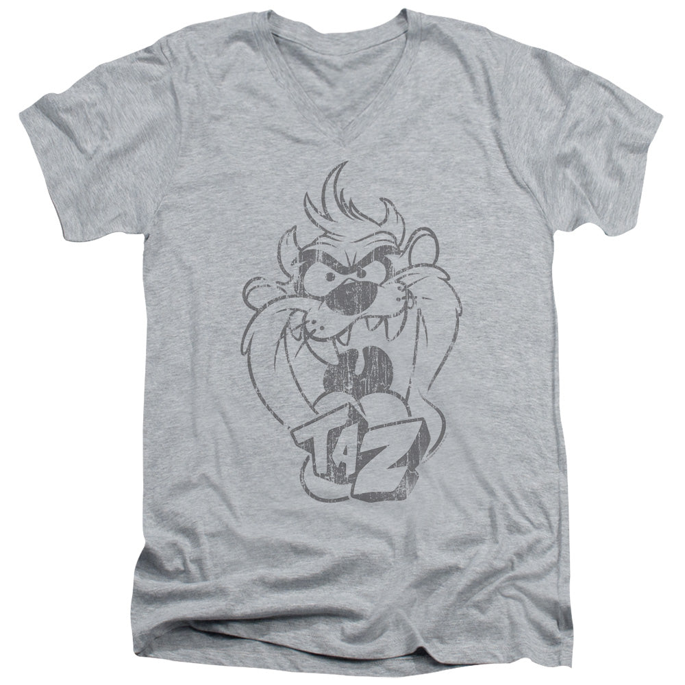LOONEY TUNES/FADED TAZ