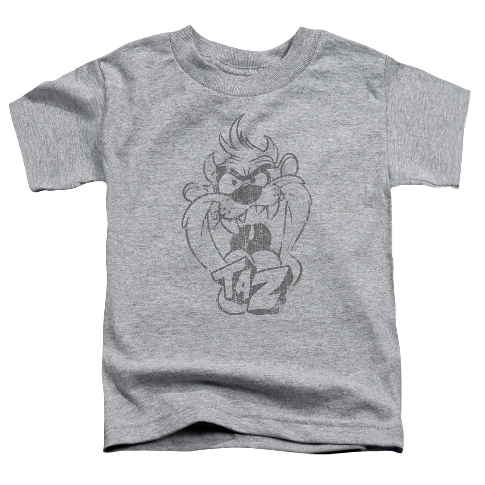 LOONEY TUNES/FADED TAZ
