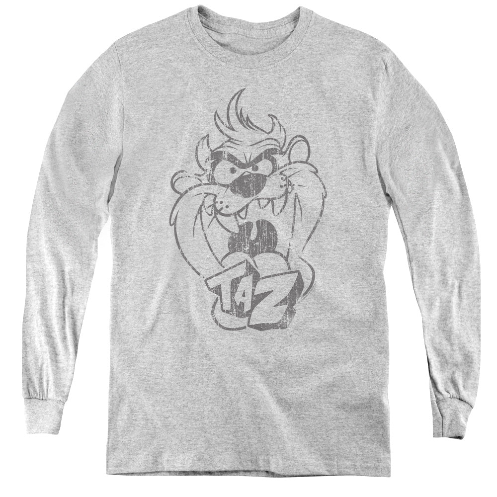 LOONEY TUNES/FADED TAZ