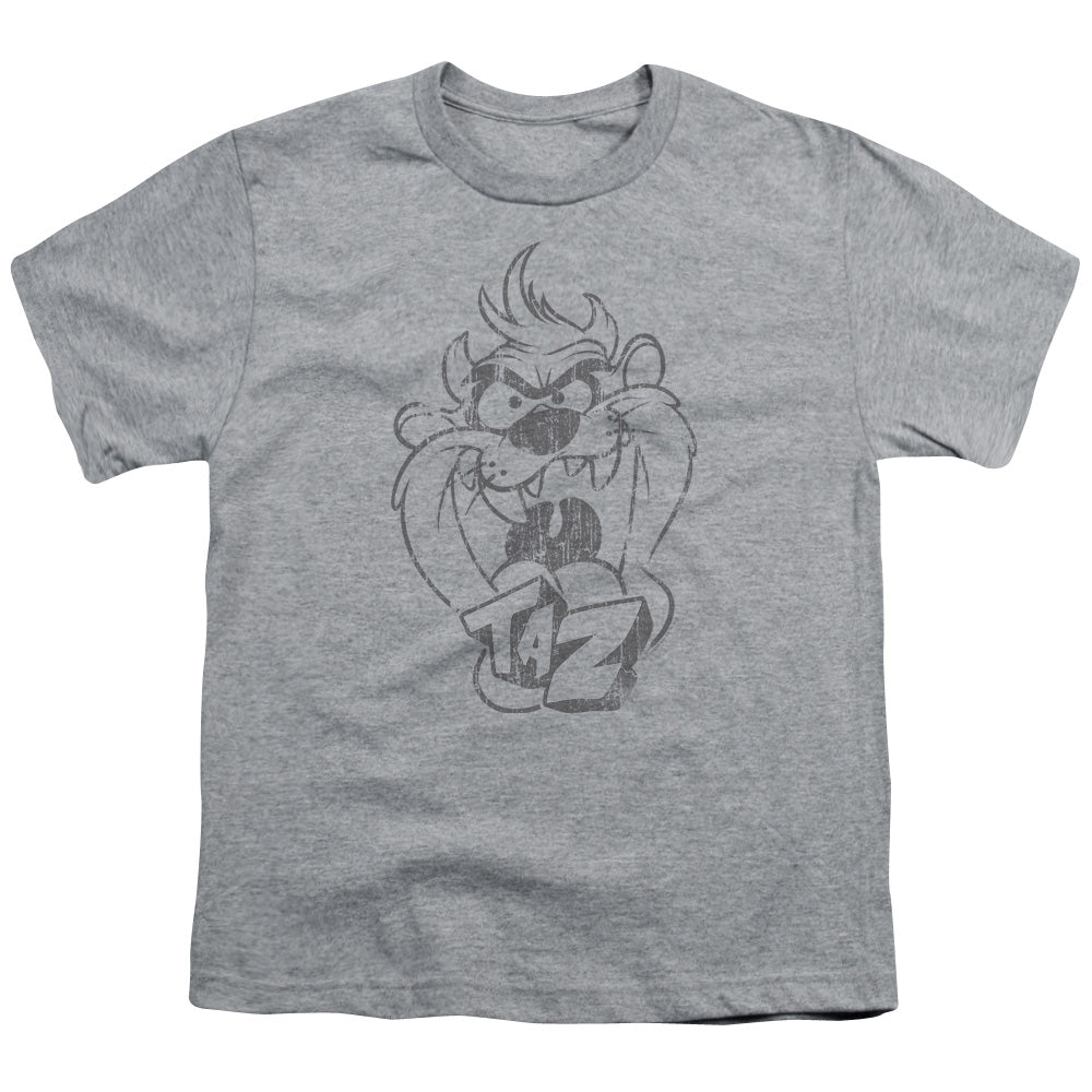 LOONEY TUNES/FADED TAZ