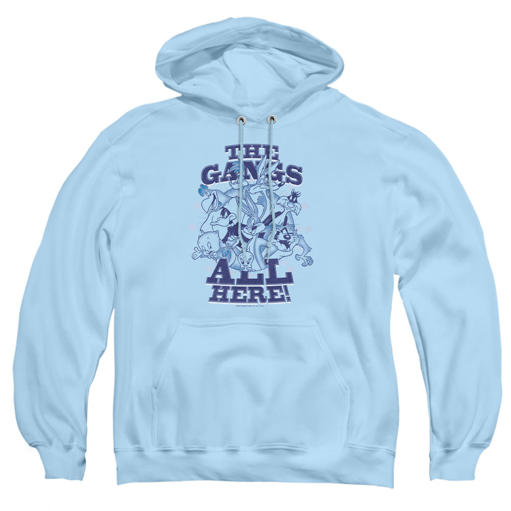 LOONEY TUNES/BLUE GANG