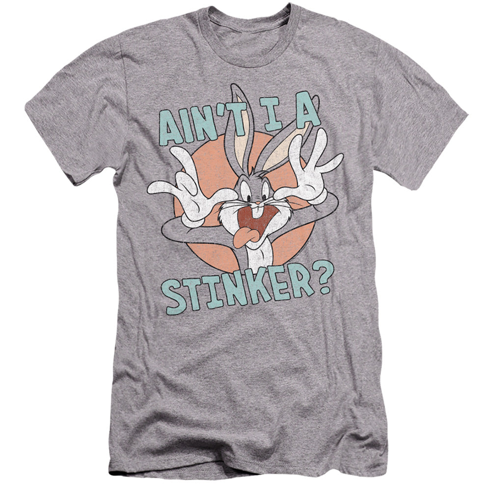 LOONEY TUNES/AIN'T I A STINKER