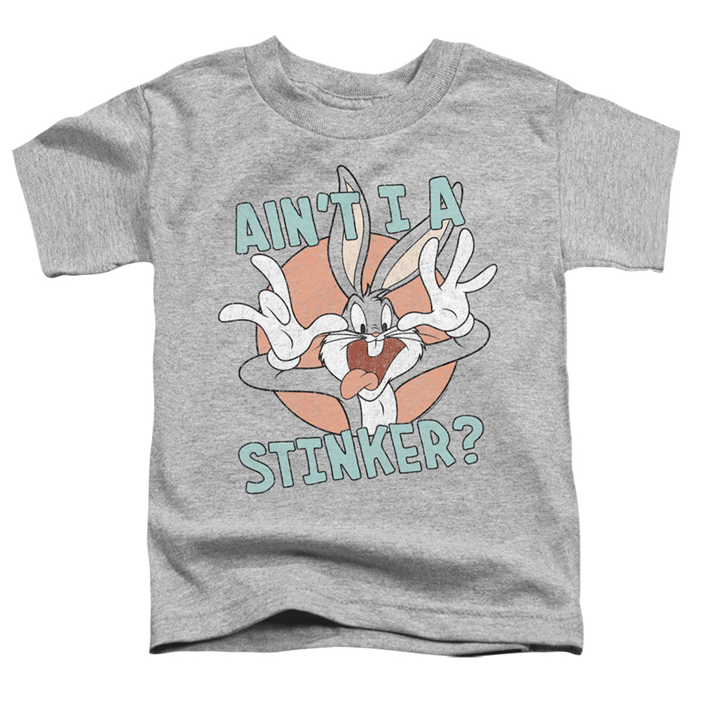 LOONEY TUNES/AIN'T I A STINKER