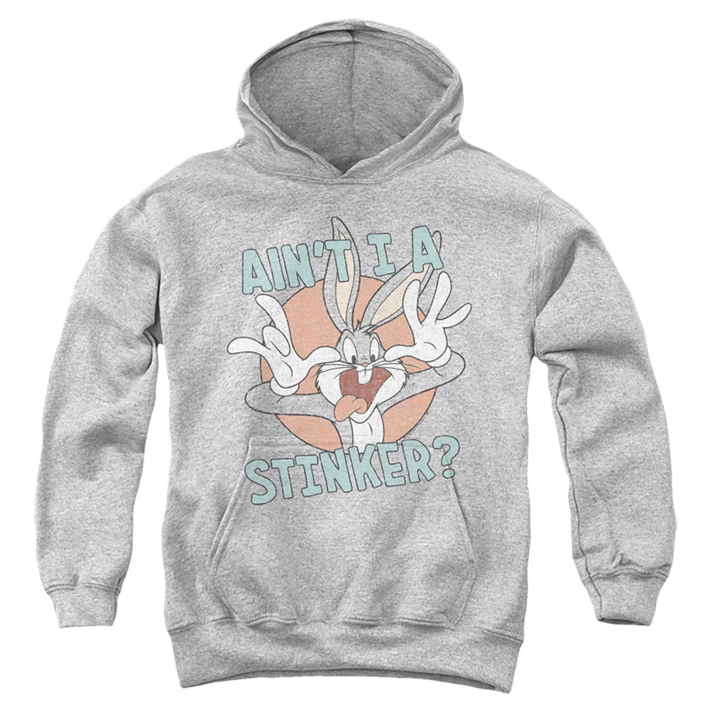 LOONEY TUNES/AIN'T I A STINKER