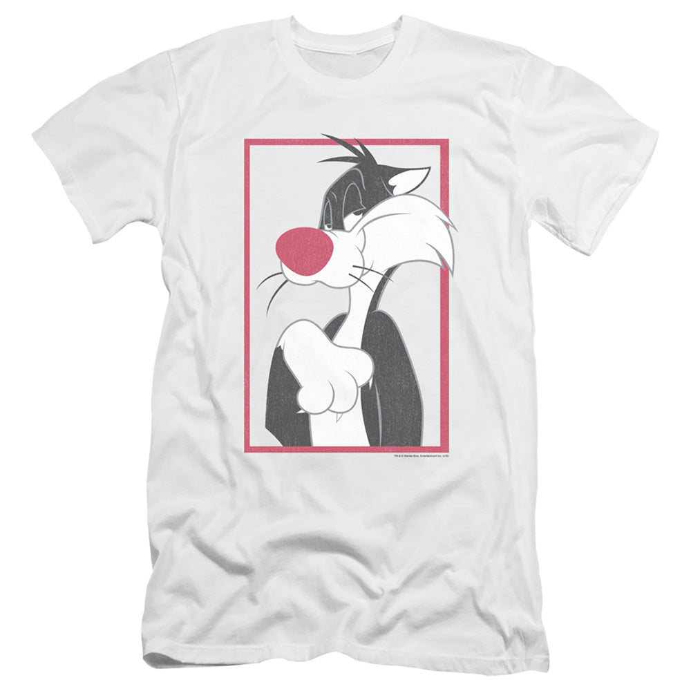 LOONEY TUNES/SYLVESTER