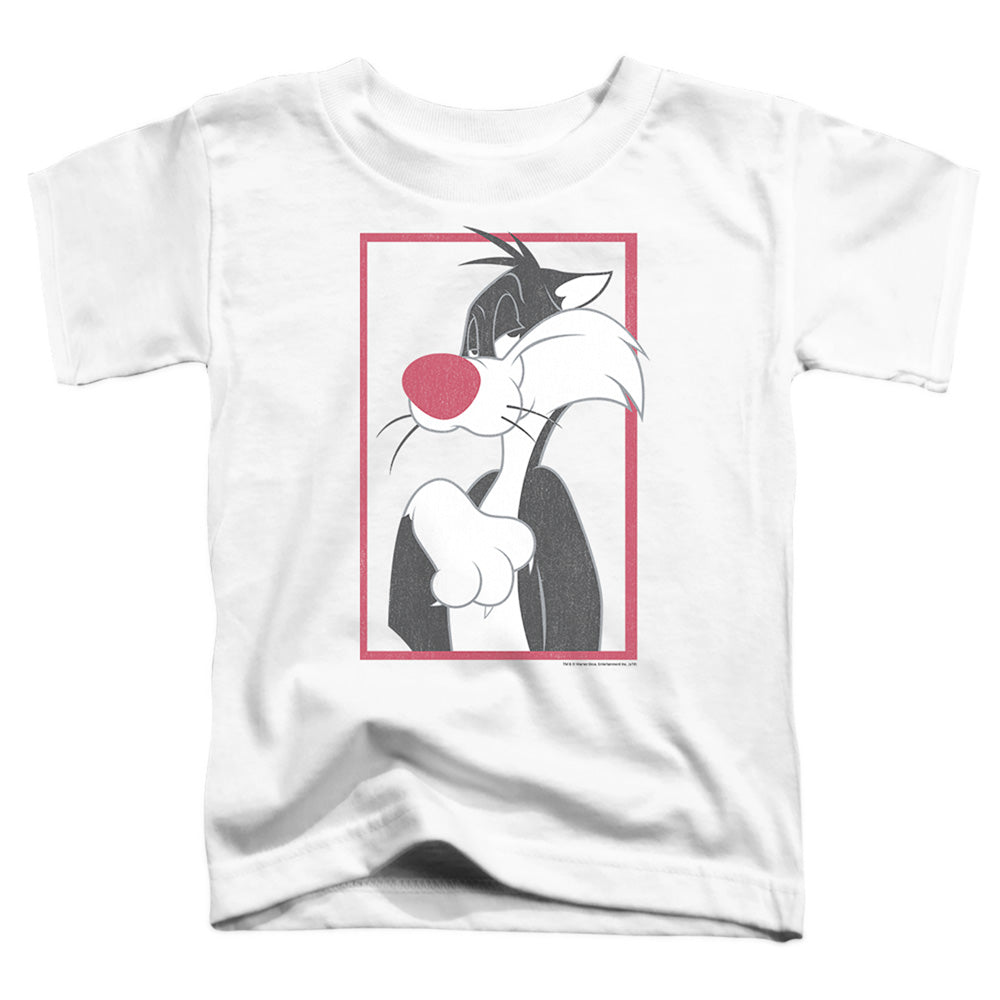 LOONEY TUNES/SYLVESTER