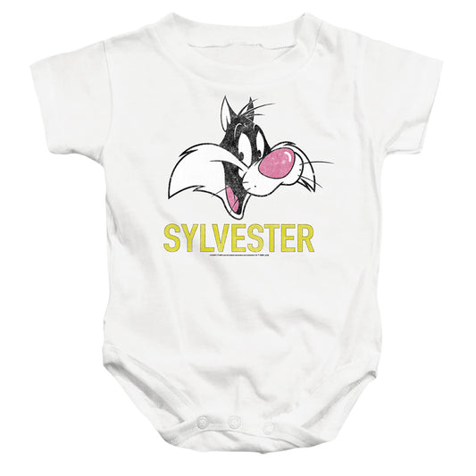 LOONEY TUNES/SYLVESTER
