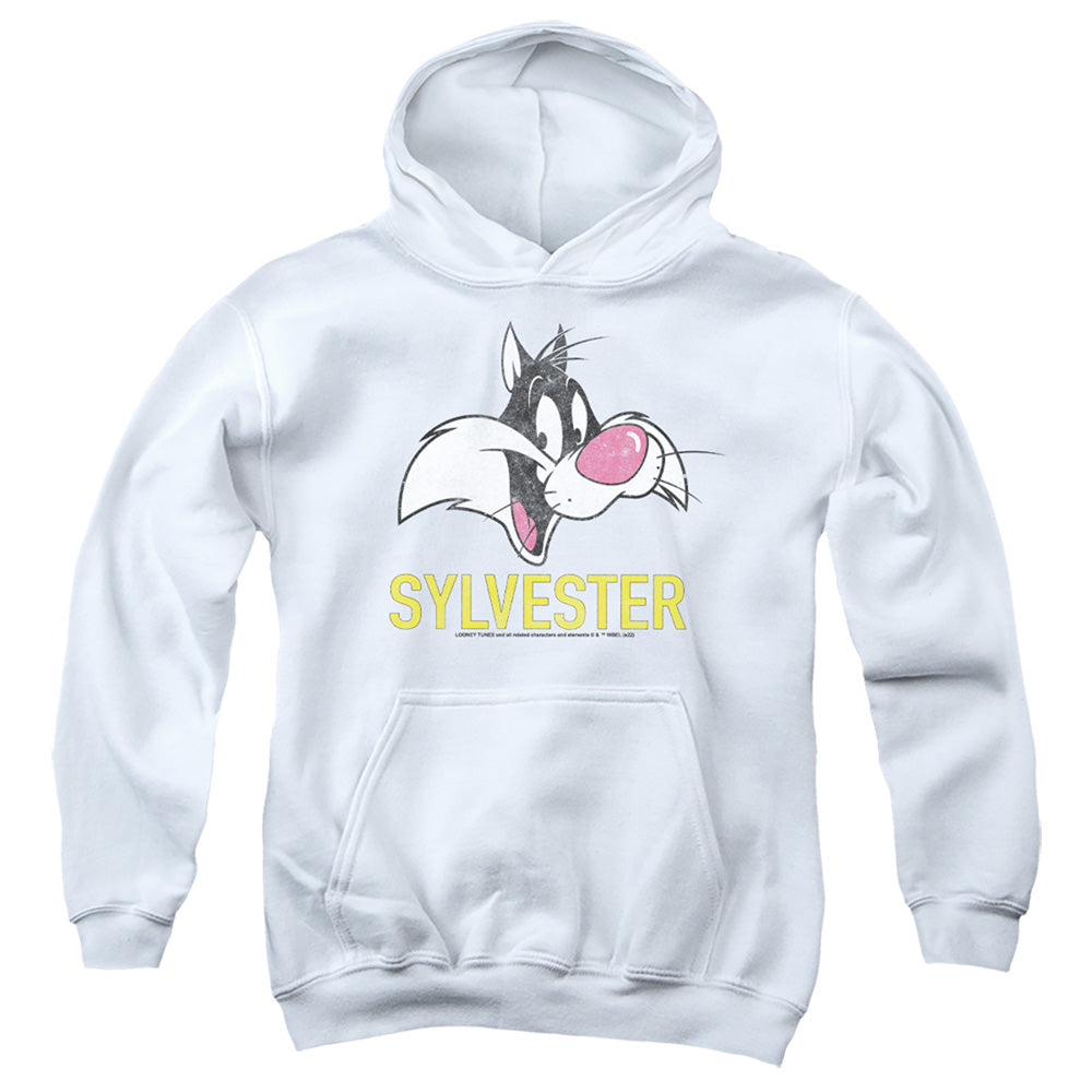 LOONEY TUNES/SYLVESTER