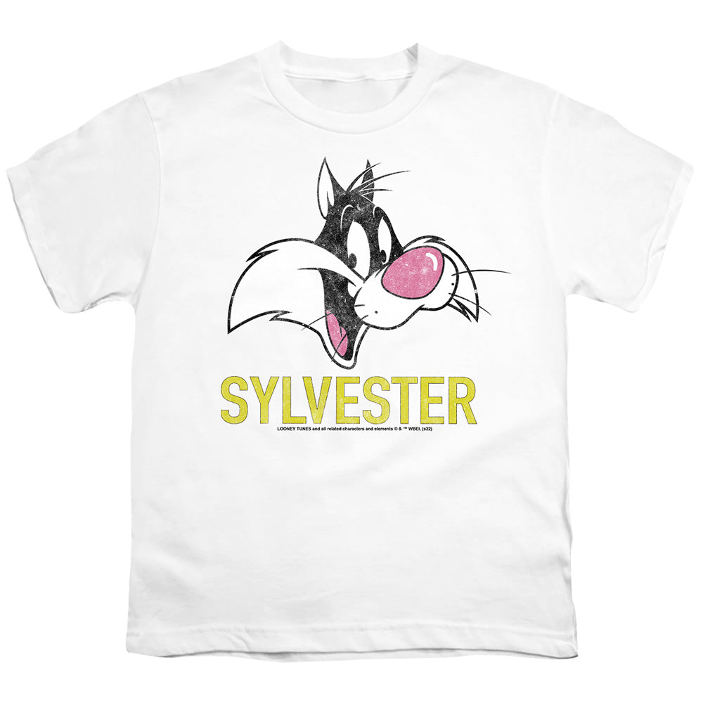 LOONEY TUNES/SYLVESTER
