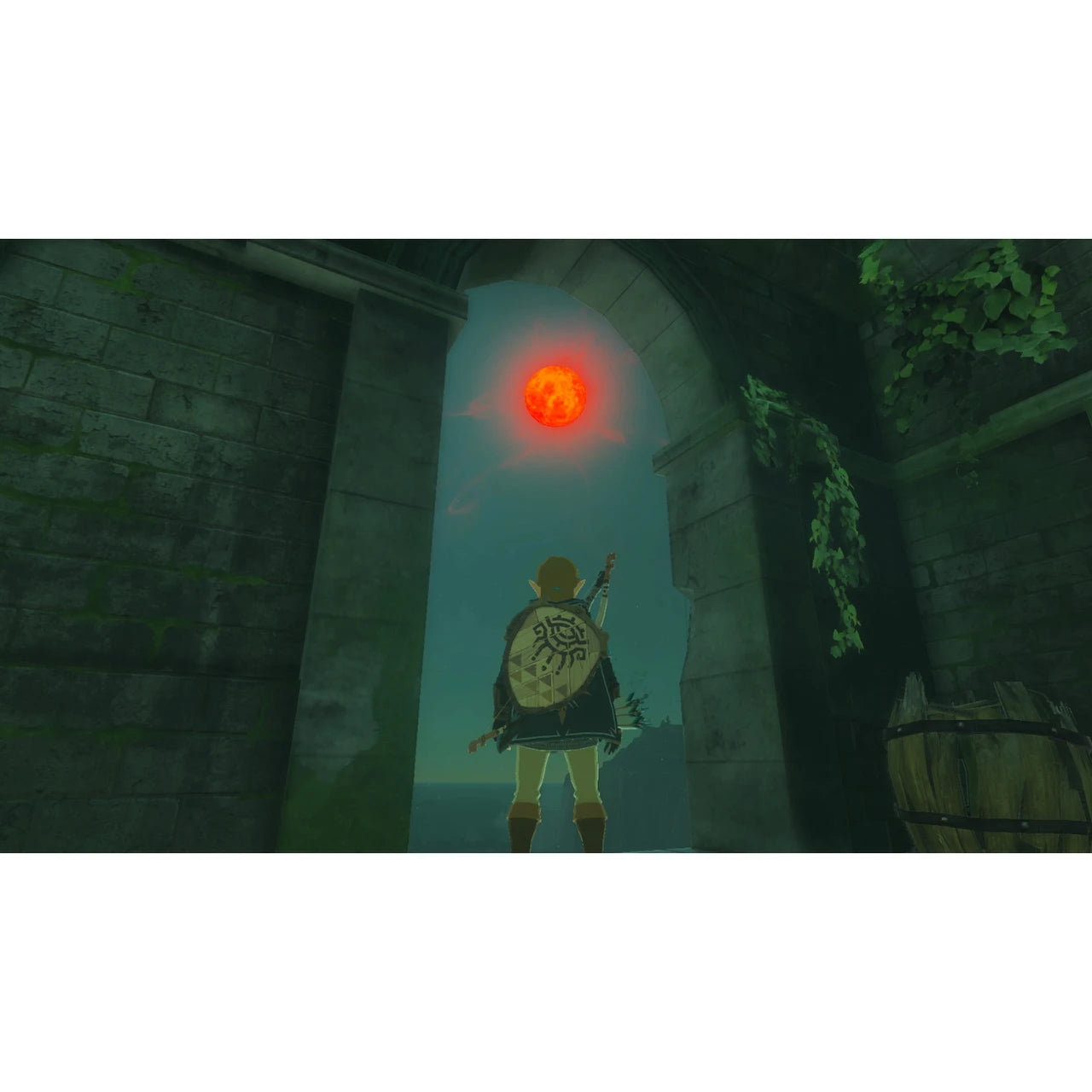Legend of Zelda: Tears of the Kingdom Collector's Edition - Switch