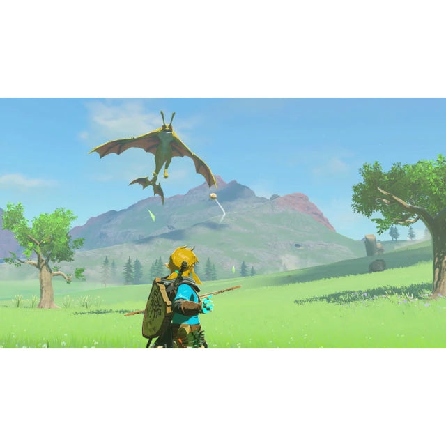 Legend of Zelda: Tears of the Kingdom Collector's Edition - Switch