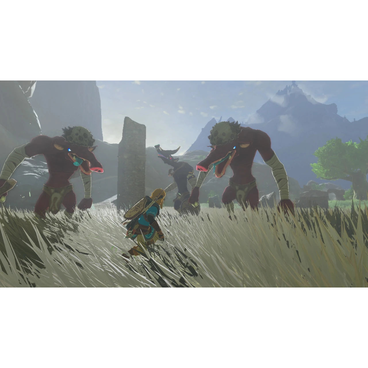 Legend of Zelda: Tears of the Kingdom Collector's Edition - Switch