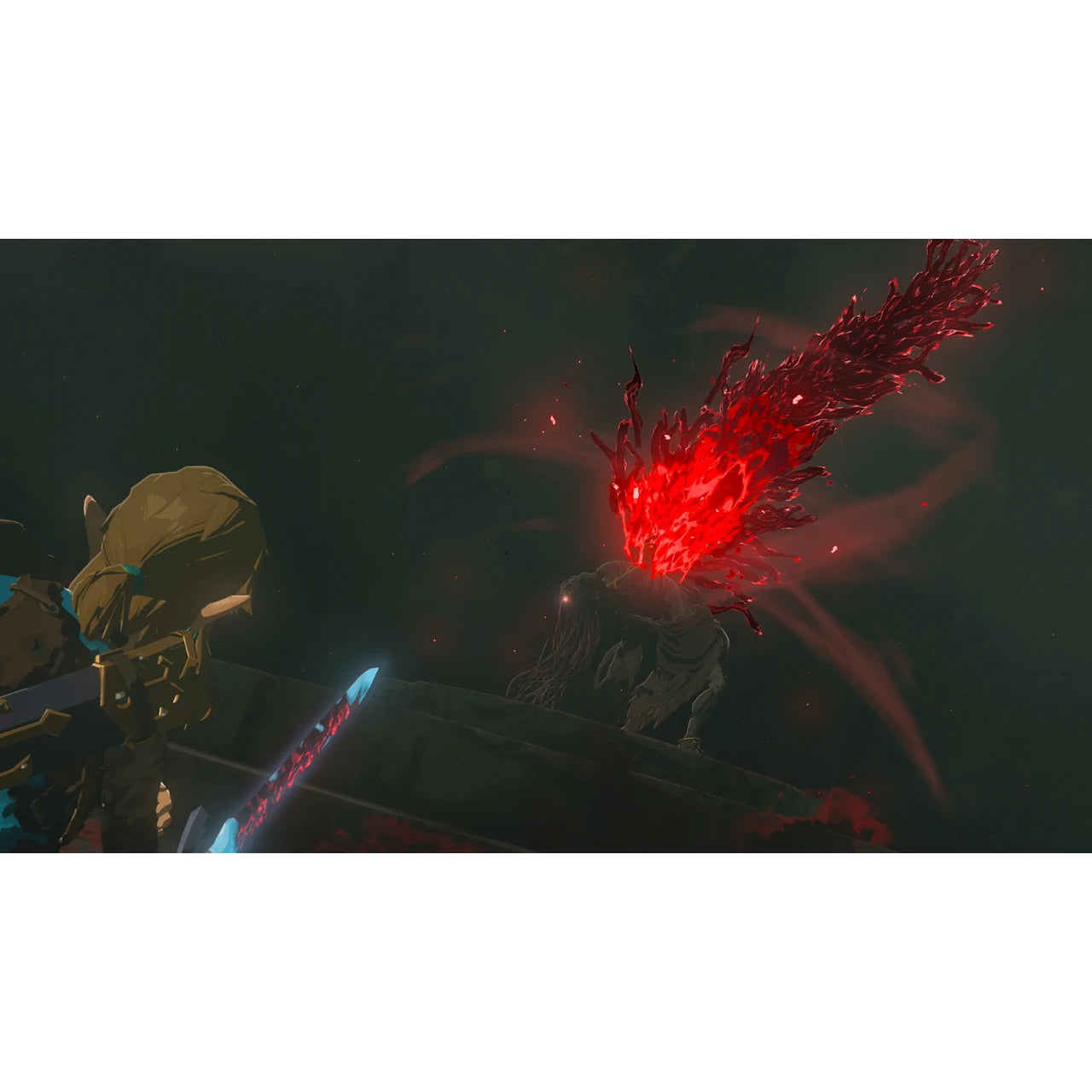 Legend of Zelda: Tears of the Kingdom Collector's Edition - Switch