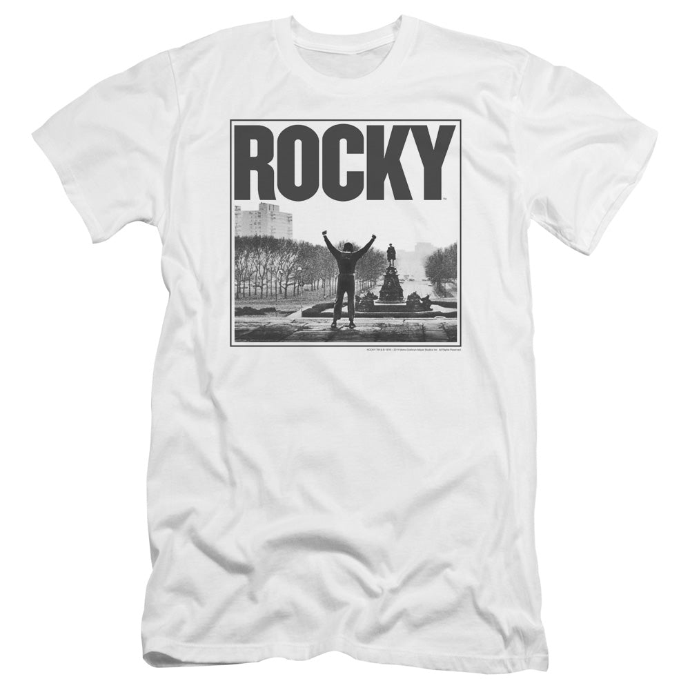 ROCKY/TOP OF THE STAIRS
