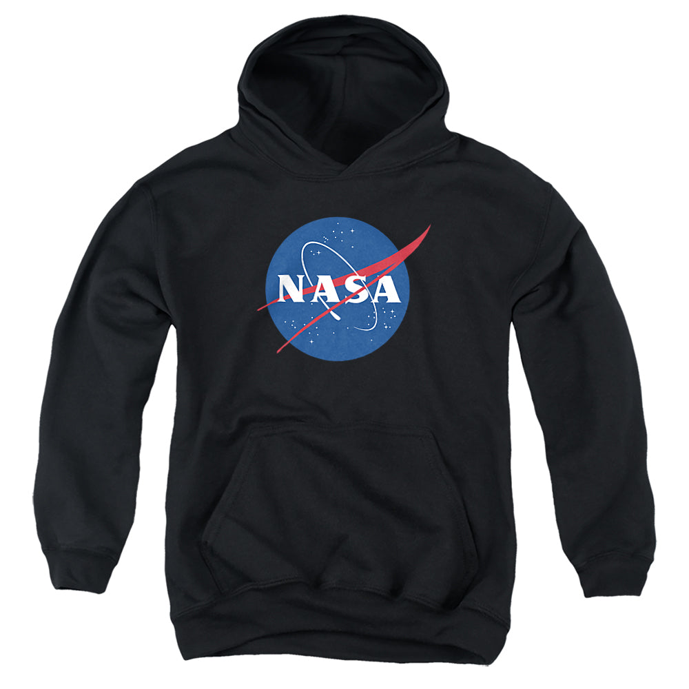 NASA/MEATBALL LOGO