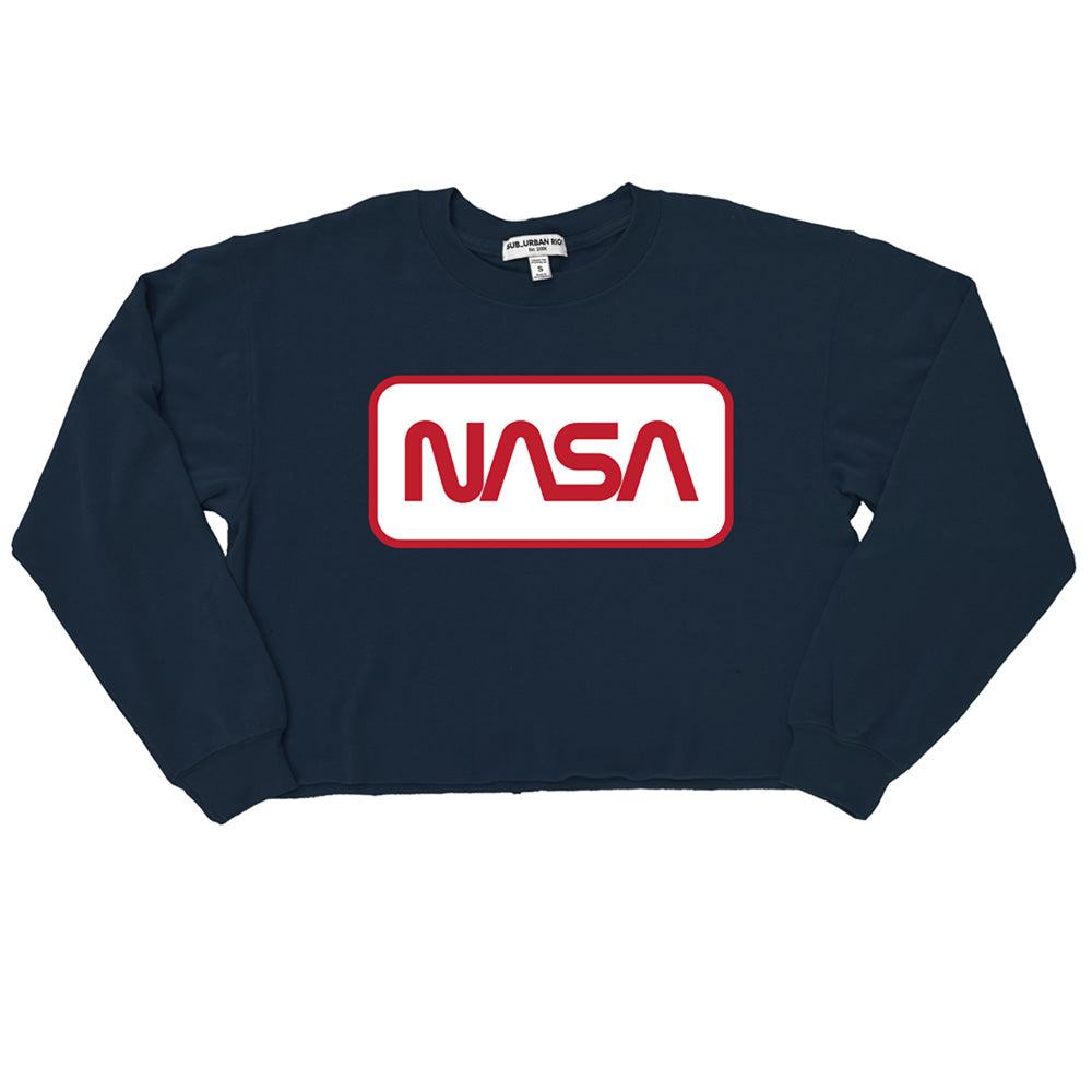 NASA/RECTAGULAR WORM LOGO