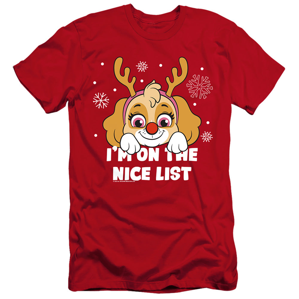 PAW PATROL/SKYE NICE CHRISTMAS LIST